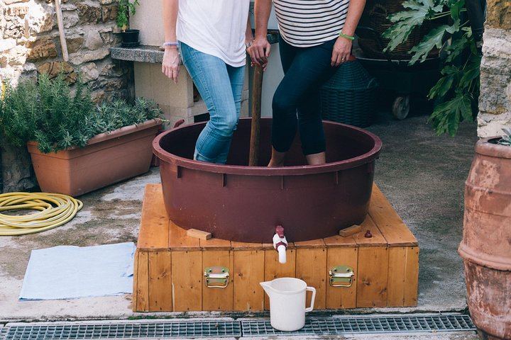 Private Grape Stomping at a Chianti Farmhouse: Meet in Castellina, Harvest and Tasting (6/11)