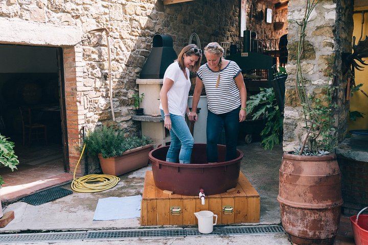 Private Grape Stomping at a Chianti Farmhouse: Meet in Castellina, Harvest and Tasting (7/11)