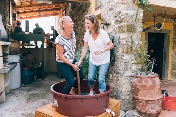 Private Grape Stomping at a Chianti Farmhouse: Meet in Castellina, Harvest and Tasting