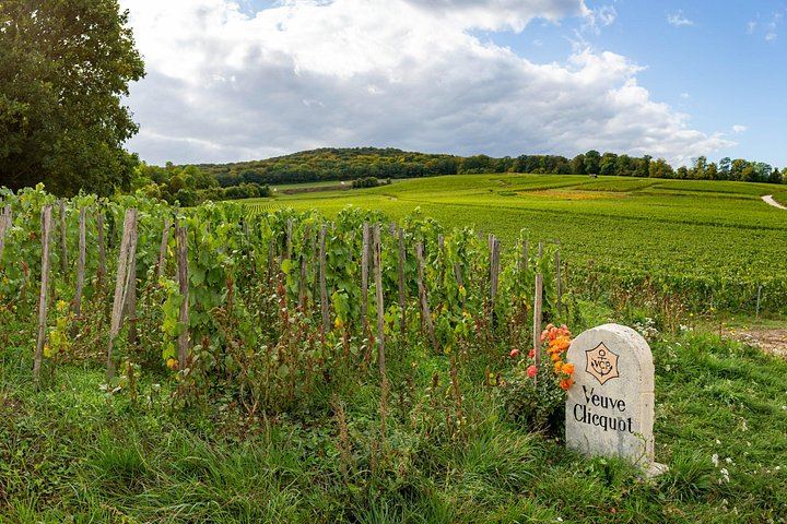 Private Champagne Day from Paris, WSET Guide: Family Grower and Veuve Clicquot Cellars (7/12)