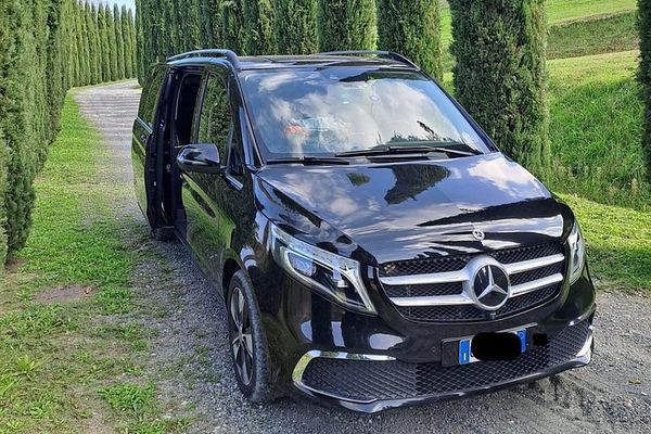 Private Half-Day Tour of San Gimignano and Chianti by Car with Wine Tasting