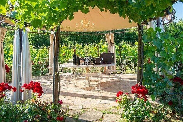 Private Half-Day Tour of San Gimignano and Chianti by Car with Wine Tasting (8/12)