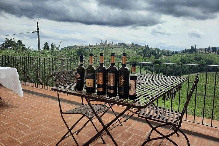 Private Half-Day Tour of San Gimignano and Chianti by Car with Wine Tasting (5/12)
