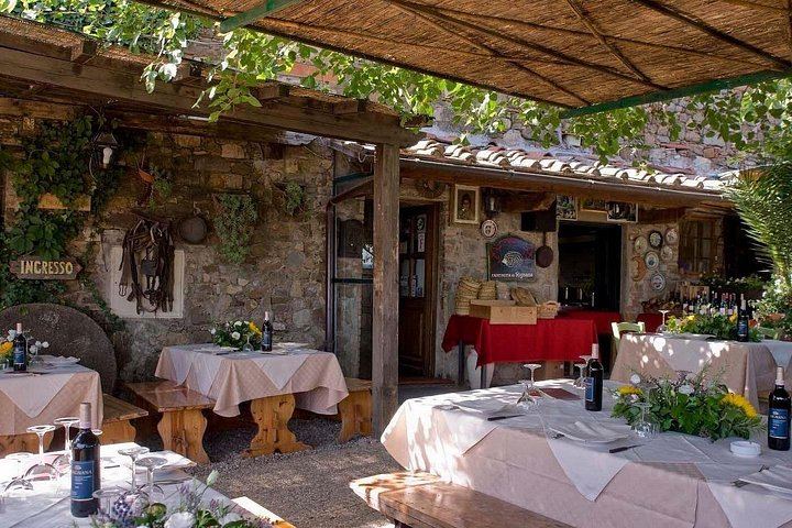 Private Half-Day Tour of San Gimignano and Chianti by Car with Wine Tasting (4/12)