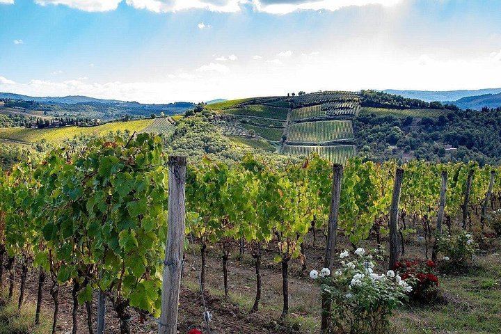 Private Half-Day Tour of San Gimignano and Chianti by Car with Wine Tasting (10/12)