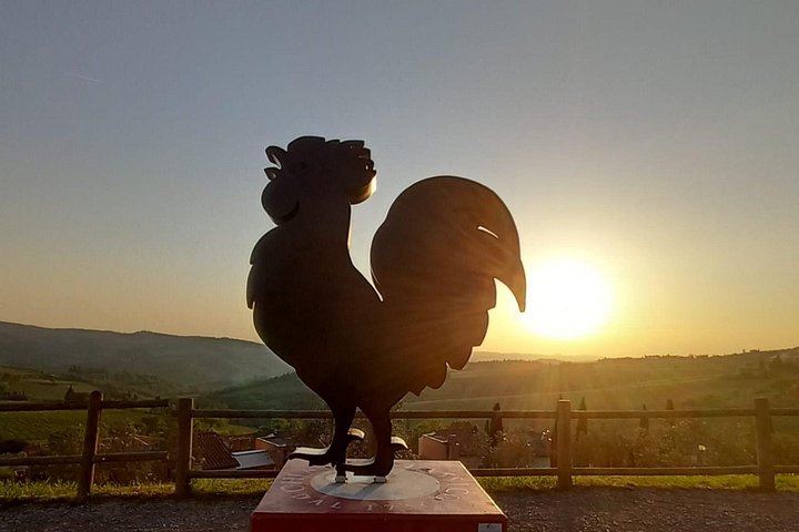 Private Half-Day Tour of San Gimignano and Chianti by Car with Wine Tasting (9/12)