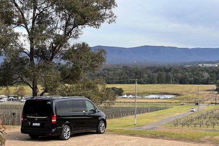 Private Luxury Hunter Valley Tour from Sydney for up to 11 Guests, 10 Hours Door to Door (8/12)