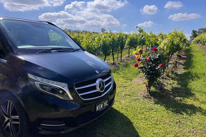 Private Luxury Hunter Valley Tour from Sydney for up to 11 Guests, 10 Hours Door to Door (2/12)