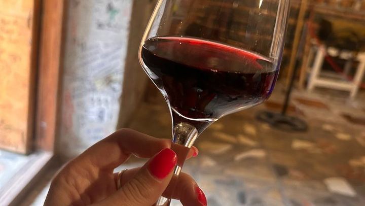 Private Kakheti Day from Tbilisi by KartU Tours: Family Cellar and Kindzmarauli Wine (1/7)