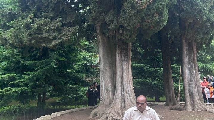 Private Kakheti Day from Tbilisi by KartU Tours: Family Cellar and Kindzmarauli Wine (2/7)