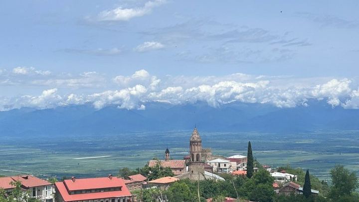 Private Kakheti Day from Tbilisi by KartU Tours: Family Cellar and Kindzmarauli Wine (3/7)
