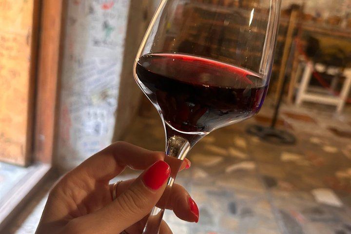 Private Kakheti Day from Tbilisi by KartU Tours: Family Cellar and Kindzmarauli Wine (1/7)
