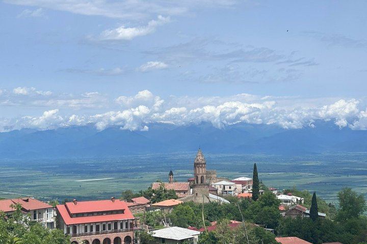 Private Kakheti Day from Tbilisi by KartU Tours: Family Cellar and Kindzmarauli Wine (3/7)