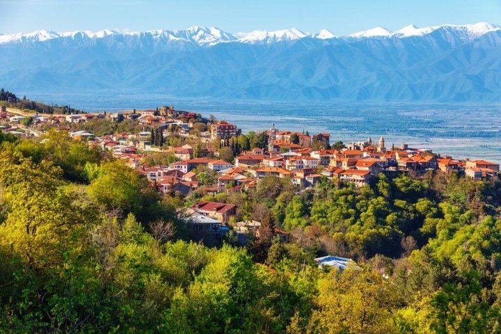 Private Kakheti Day from Tbilisi by KartU Tours: Family Cellar and Kindzmarauli Wine (6/7)