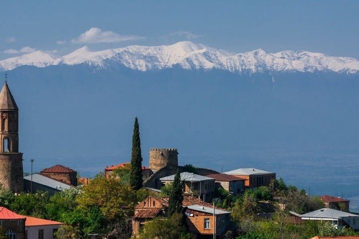 Private Kakheti Day from Tbilisi by KartU Tours: Family Cellar and Kindzmarauli Wine (7/7)