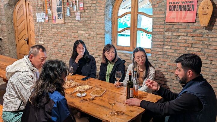 Private Kakheti Day Tour with Organic Qvevri Wine Tasting, Sighnaghi and Lunch (4/10)