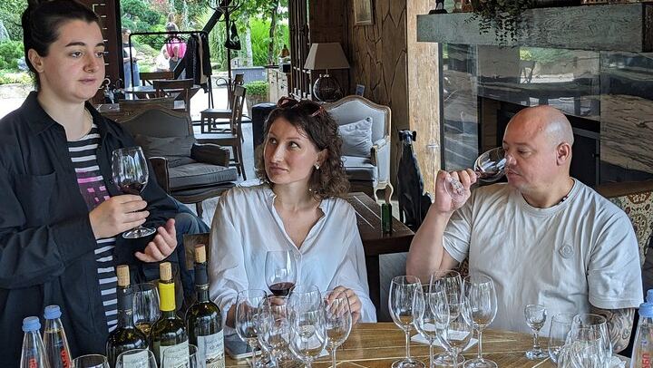 Private Kakheti Day Tour with Organic Qvevri Wine Tasting, Sighnaghi and Lunch (1/10)