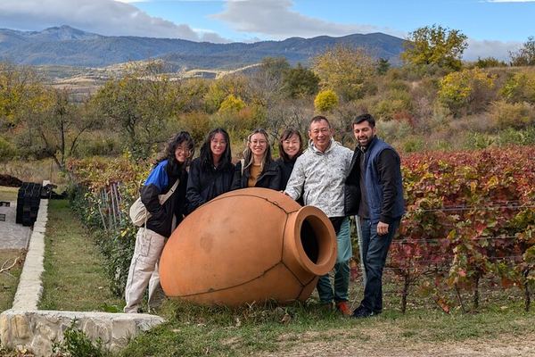 Private Kakheti Day Tour with Organic Qvevri Wine Tasting, Sighnaghi and Lunch