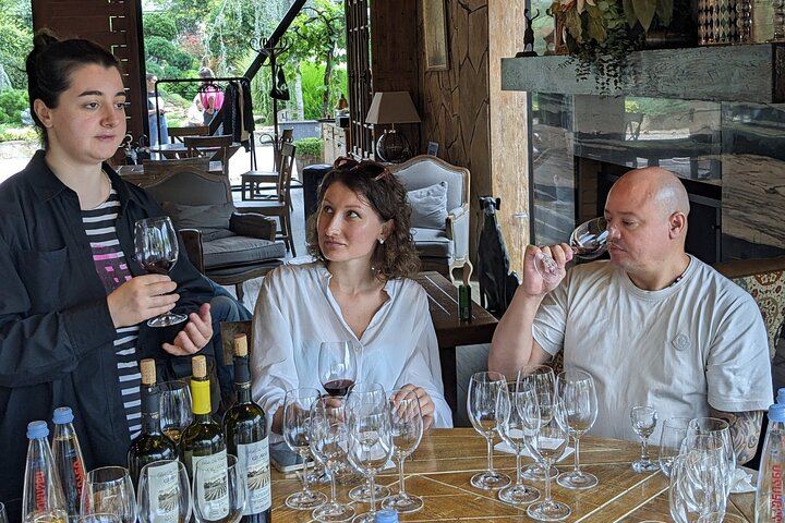 Private Kakheti Day Tour with Organic Qvevri Wine Tasting, Sighnaghi and Lunch (1/10)