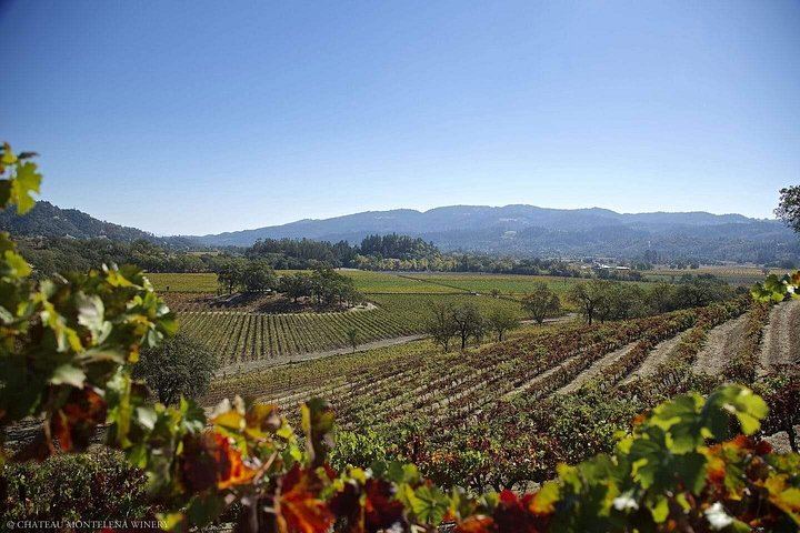 Private Limousine Wine Tour of Napa and Sonoma Valley with Personal Driver (5/9)