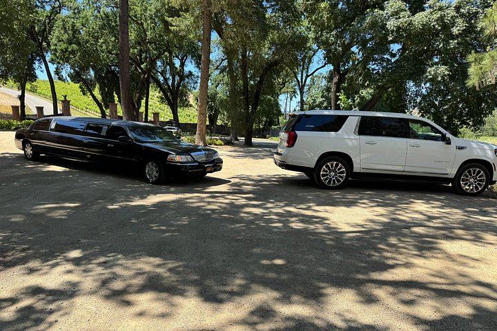 Private Limousine Wine Tour of Napa and Sonoma Valley with Personal Driver (9/9)