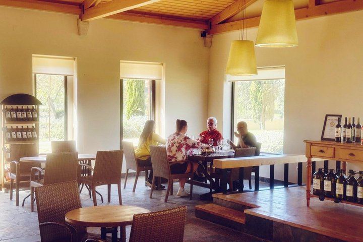 Private Arrábida Day from Lisbon: Two Wineries, Market and Tile Workshop (4/12)