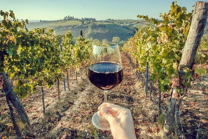 Private Arrábida Wine Day from Lisbon: Family Wineries, Cheese and Portuguese Lunch (1/12)