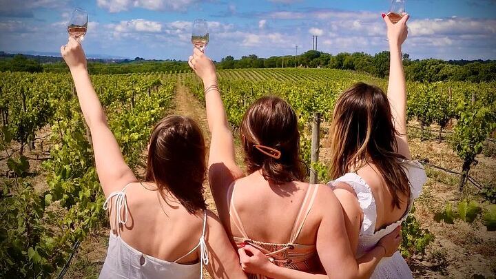 Private Arrábida Coast and Wine Day from Lisbon: Three Wineries, Oysters and Tiles (4/12)