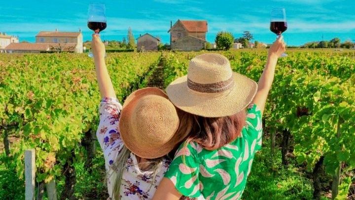 Private Arrábida Coast and Wine Day from Lisbon: Three Wineries, Oysters and Tiles (1/12)