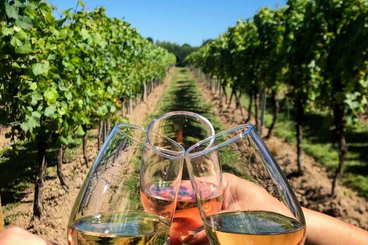 Private Arrábida Coast and Wine Day from Lisbon: Three Wineries, Oysters and Tiles (7/12)