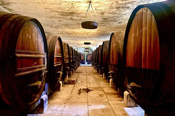 Private Arrábida Coast and Wine Day from Lisbon: Three Wineries, Oysters and Tiles (11/12)