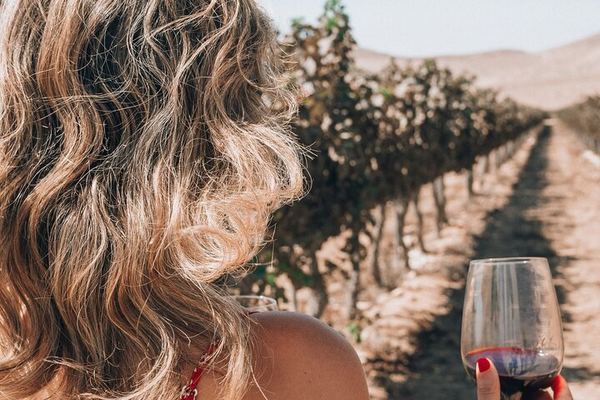 Private Chauffeured Wine Tour from Saint-Tropez to Plaine des Maures and Vidauban