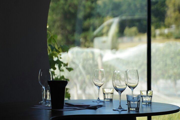 Private Chauffeured Wine Tour from Saint-Tropez to Plaine des Maures and Vidauban (1/12)