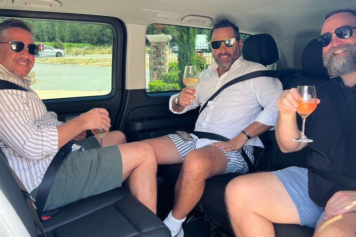 Private Chauffeured Wine Tour from Saint-Tropez to Plaine des Maures and Vidauban (12/12)