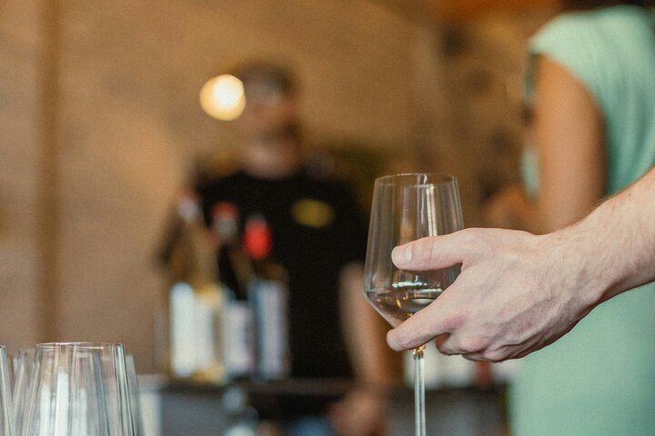 Private Chauffeured Wine Tour from Saint-Tropez to Plaine des Maures and Vidauban (3/12)