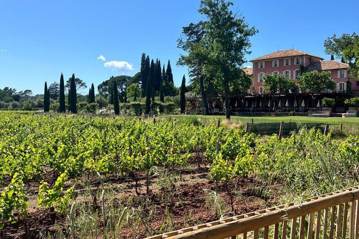 Private Chauffeured Wine Tour from Saint-Tropez to Plaine des Maures and Vidauban (10/12)