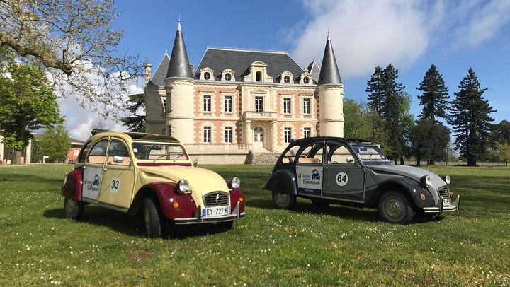 Private Médoc Wine Tour in a Citroën 2CV Convertible from Bordeaux, 4.5 Hours (1/9)