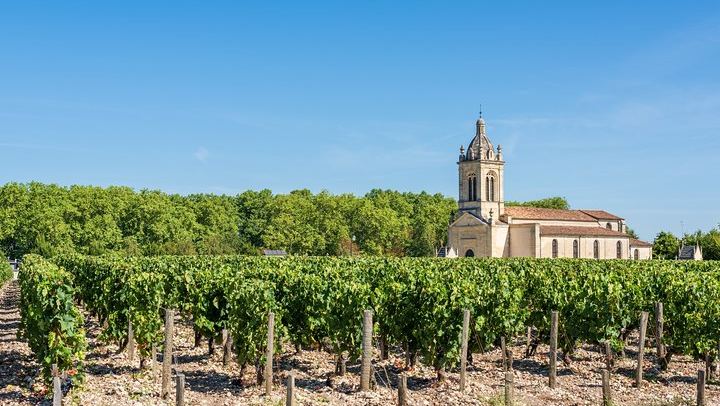 Private Médoc Wine Tour in a Citroën 2CV Convertible from Bordeaux, 4.5 Hours (4/9)