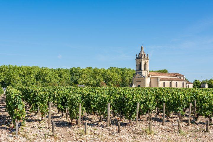 Private Médoc Wine Tour in a Citroën 2CV Convertible from Bordeaux, 4.5 Hours (4/9)
