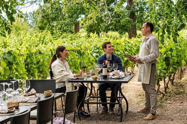 Private Luján de Cuyo Wine Day: Chandon, Budeguer and Lagarde, Michelin Lunch