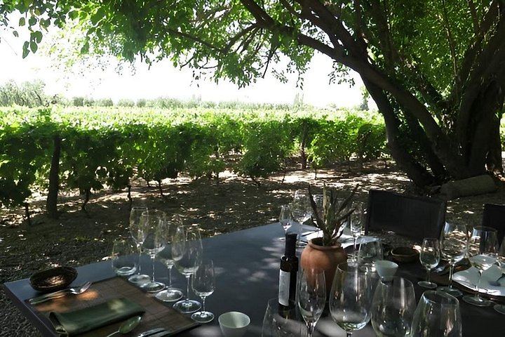 Private Luján de Cuyo Wine Day: Chandon, Budeguer and Lagarde, Michelin Lunch (7/12)