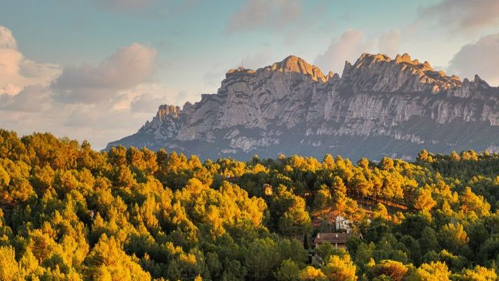 Private Montserrat and Sant Sadurni Cava Cellar Tour with Barcelona Hotel Pickup (1/10)
