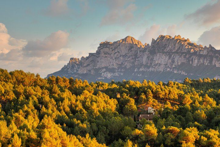 Private Montserrat and Sant Sadurni Cava Cellar Tour with Barcelona Hotel Pickup (1/10)