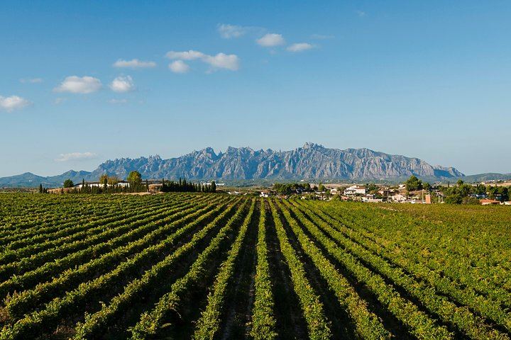 Private Montserrat and Sant Sadurni Cava Cellar Tour with Barcelona Hotel Pickup (2/10)