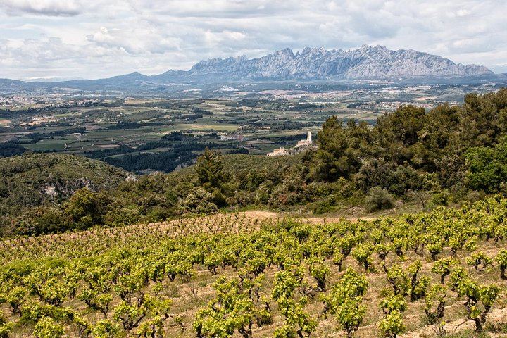 Private Montserrat and Sant Sadurni Cava Cellar Tour with Barcelona Hotel Pickup (9/10)