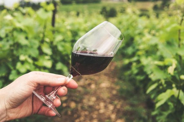 Private Montserrat and Sant Sadurni Cava Cellar Tour with Barcelona Hotel Pickup