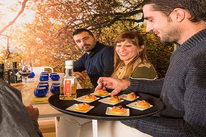 Half-Day Private Pla de Bages Wine and Olive Oil Tasting from Barcelona, Montserrat Views (6/12)