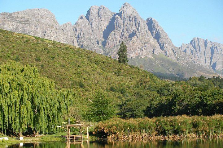 Private Customisable Stellenbosch Wine Tour: Flexible Route, Pay-As-You-Taste Fees (11/11)