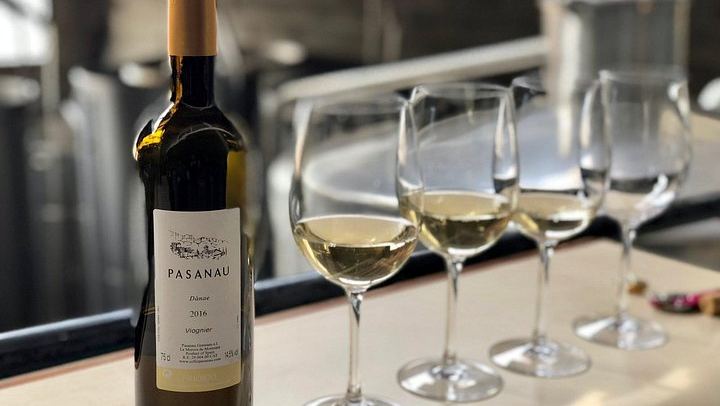 Private Priorat Day Trip from Barcelona: Pasanau, Clos Figueras and Devinssi Wineries (3/5)