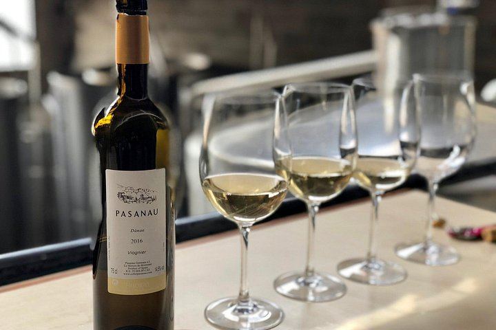 Private Priorat Day Trip from Barcelona: Pasanau, Clos Figueras and Devinssi Wineries (3/5)